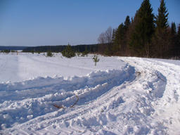 Освоение целинных снежин (01.03.2010)