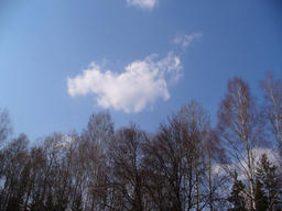Минипокатушки в весенний лес (17.04.2010)
