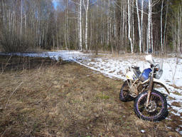 Лужи, снег, лес!!! (30.04.2010)
