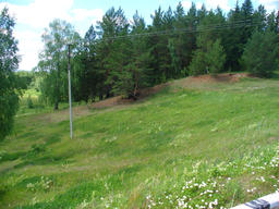 Кенский лес (23.06.2010)